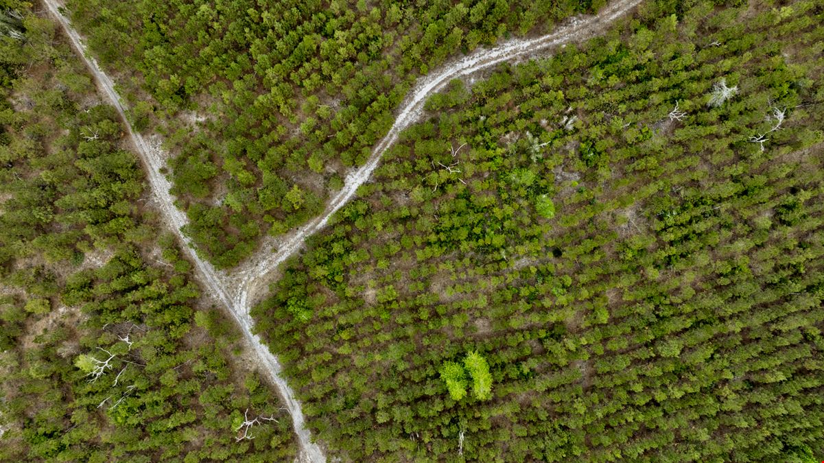 Timber Ridge Farm - Timberland Package