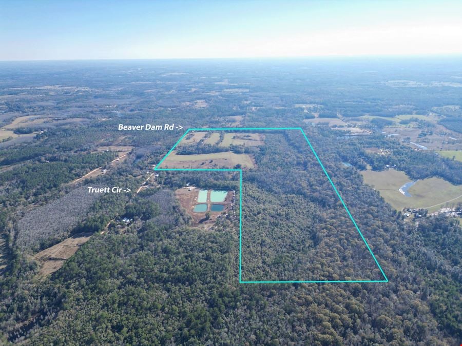 Secluded 240-Acre Cattle Farm in NE Holmes County, FL with Creek, Hunting Opportunities & Nearby Amenities