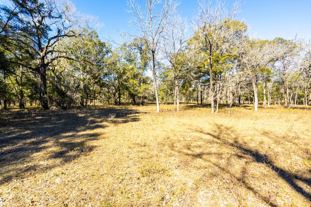 High Springs 60 Acres 00 Northwest 174th Avenue, High Springs, FL