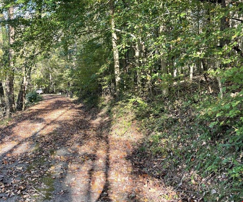 Gracie Lane Acreage