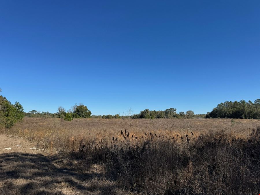52.6 Acres in Archer