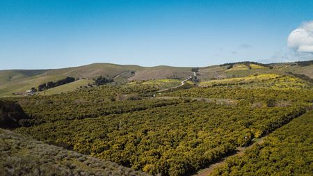 Preview of VacantLand space for Sale at Morro Creek Avocado Ranch