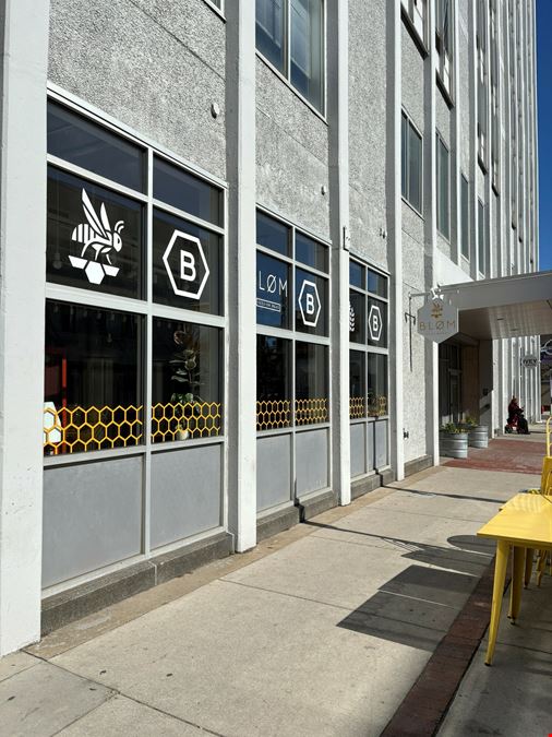 Downtown Ann Arbor Winery / Brewery FF&E Asset for Sale