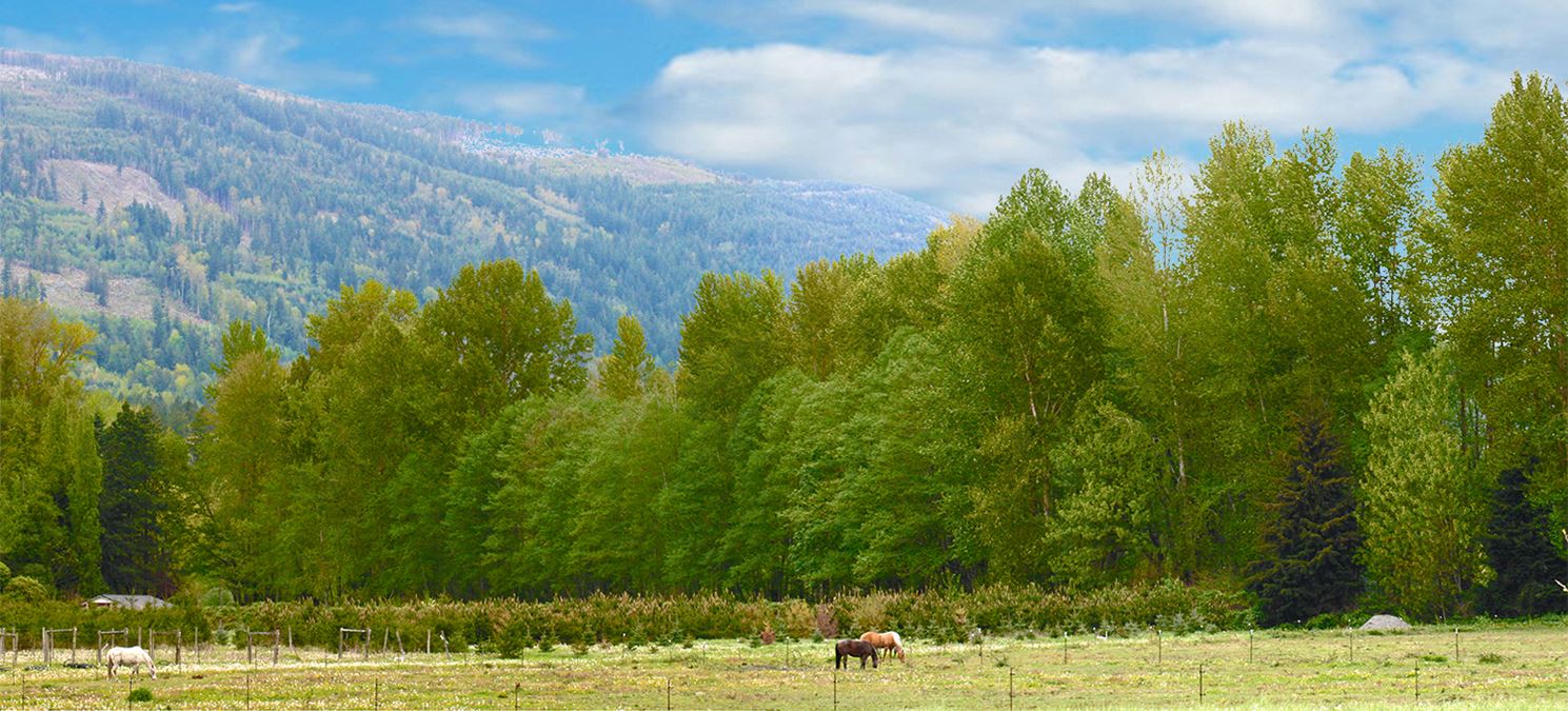 8233-8243 Sims Rd Winery & Producing Ag Land