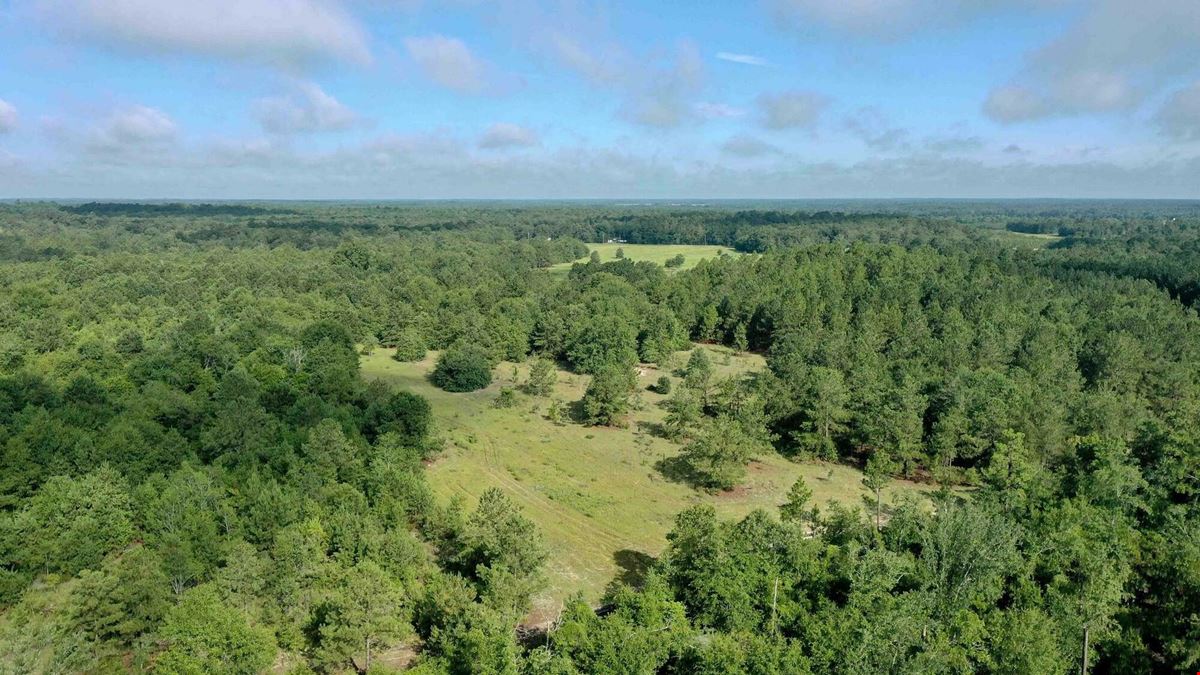 111+/- Acres of Recreational Tract Geared for Hunting on the Aiken and Barnwell County Line