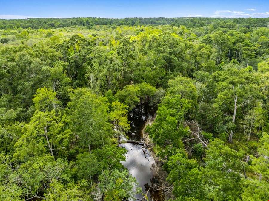 Withlacoochee River Timber and Hunting