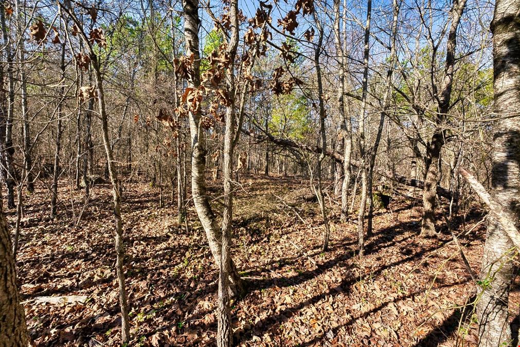 2600 Block Park Avenue, Lot 2L, Hot Springs, AR 71901