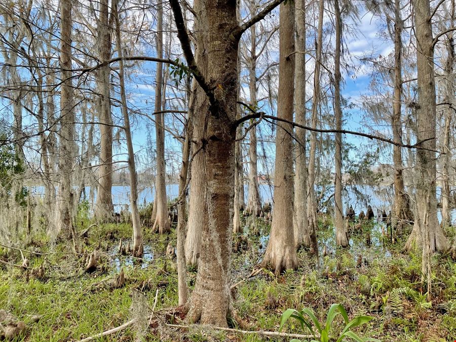 Old Florida Ranch Recreational Land