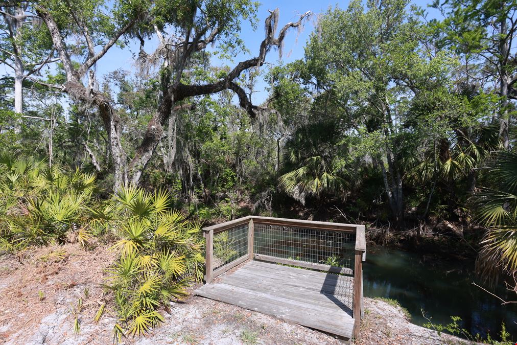 Spring Warrior Cove