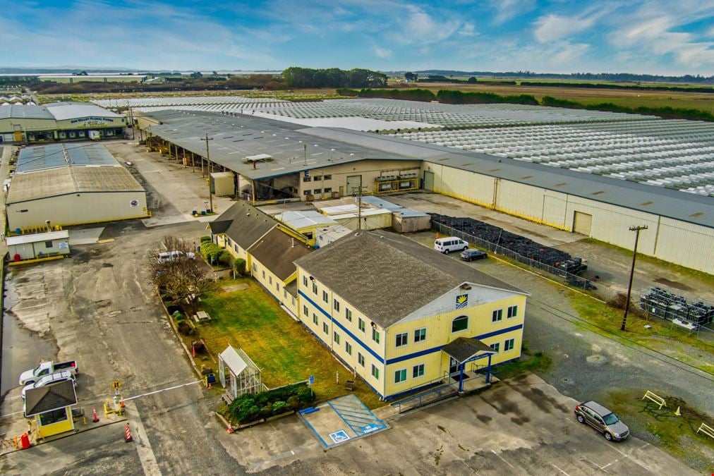 Arcata Greenhouses