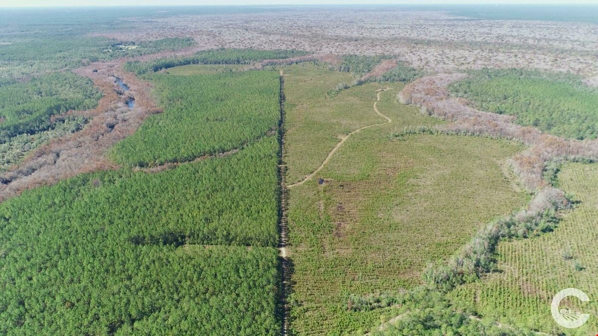 580 Acres of Recreation Land in Bay County, FL