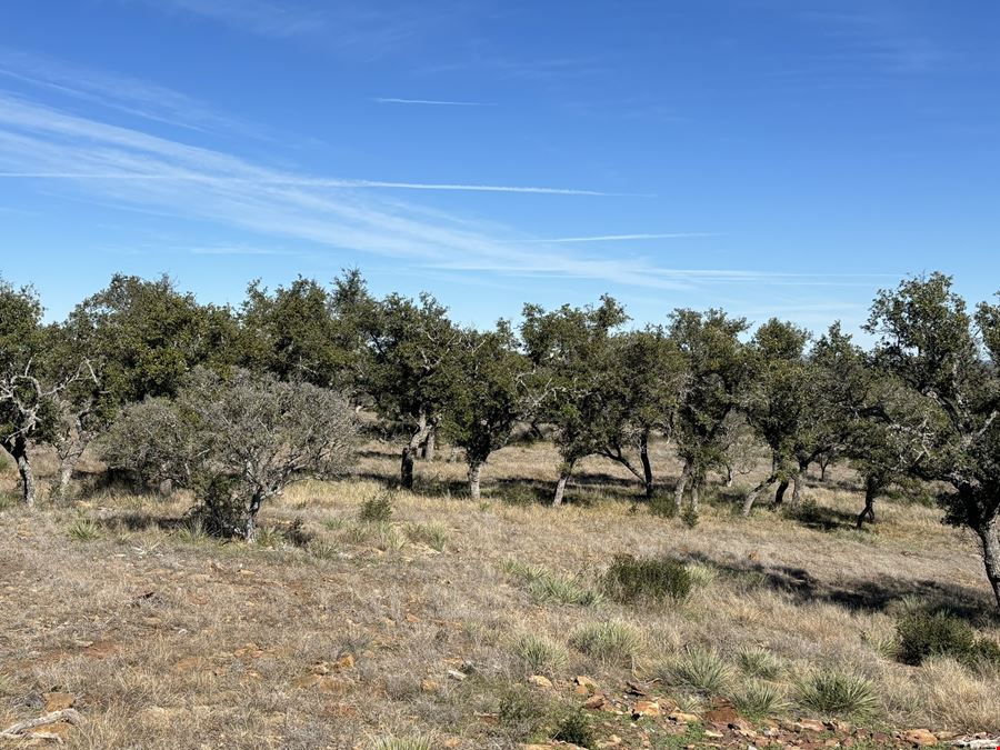 46 acres in Mason, TX