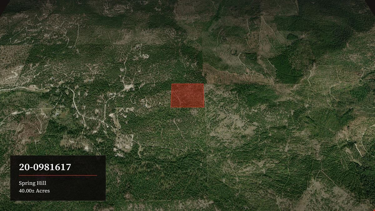A Classic Montana Forty: 40 Wooded Acres near Kalispell