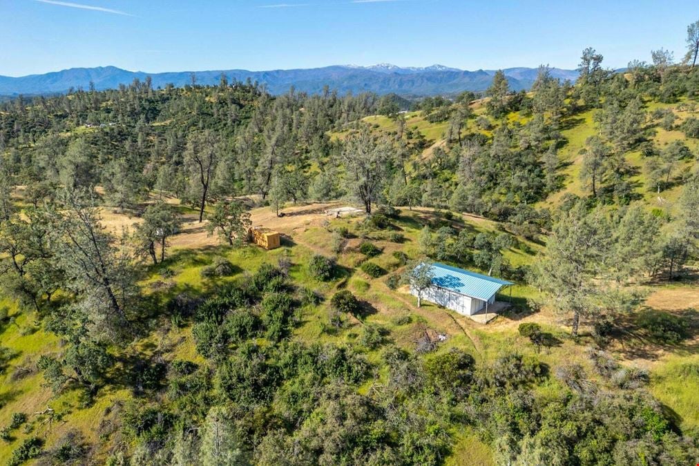 ±20 Acres of Level Land in Igo, CA