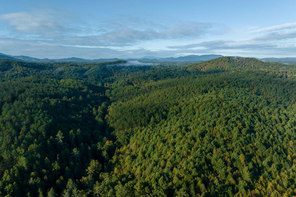 1,429 Acres For Sale