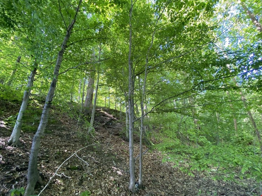111 N Red Bank Road