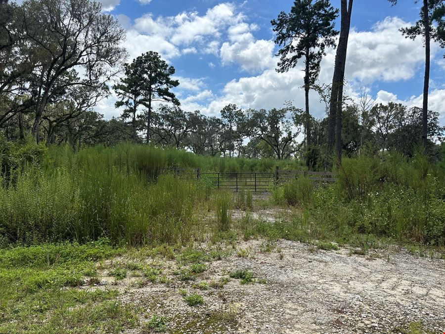 59+/- Acres Horse Country