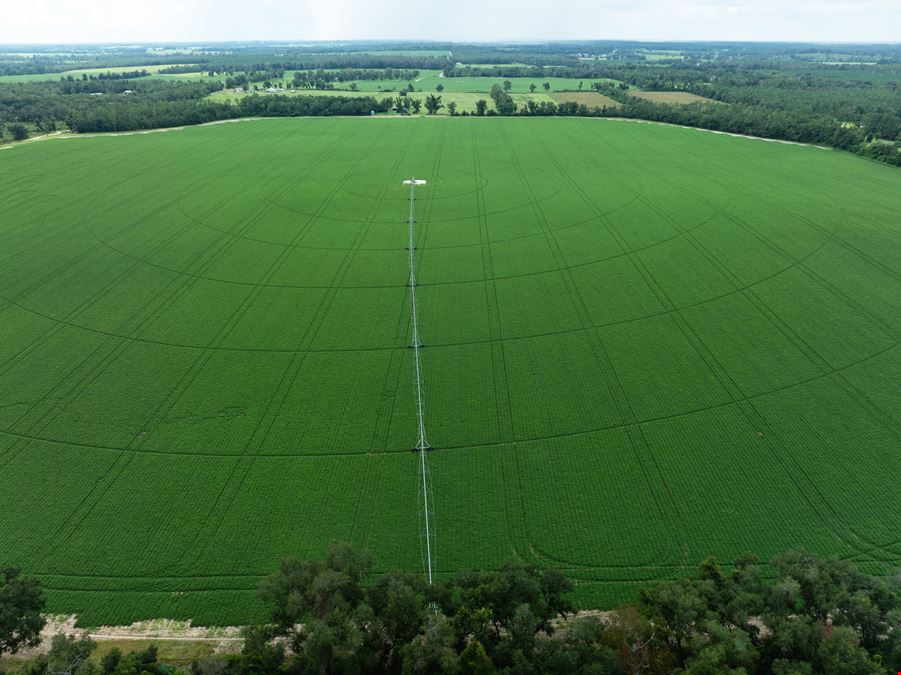 Rollings Farm - Madison County