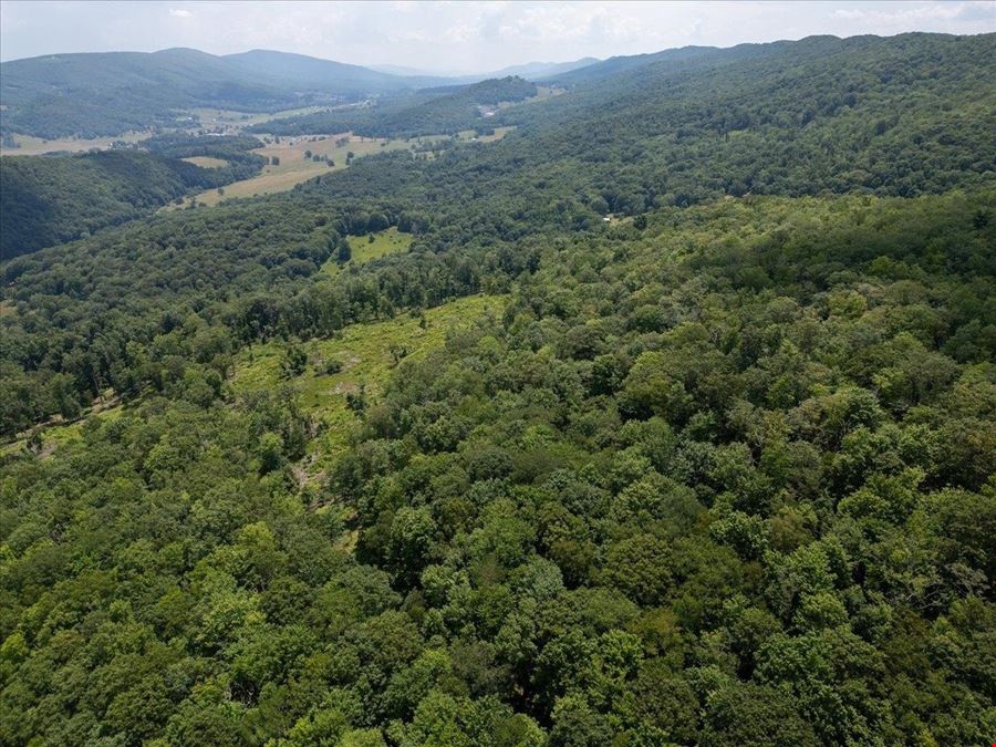 173 ACRES MOUNTAIN-SIDE LAND
