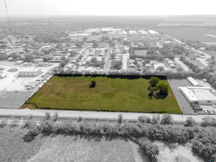 Primrose Land