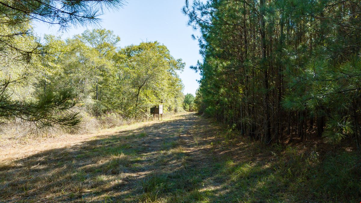 Rock Hill Hunting Preserve