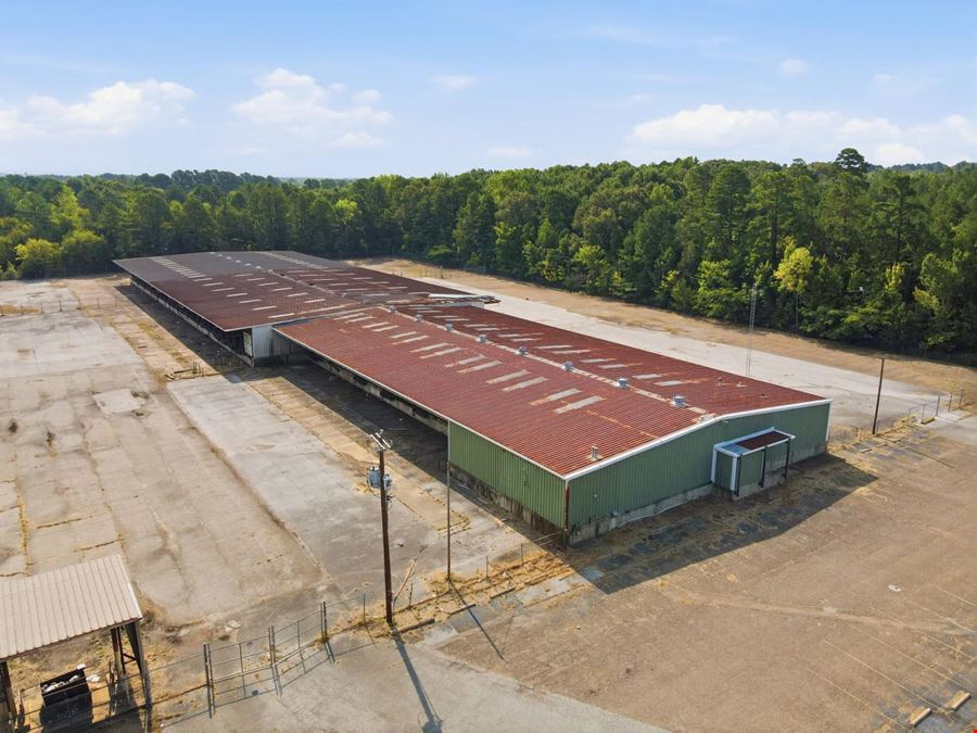 3611 Mineola Highway