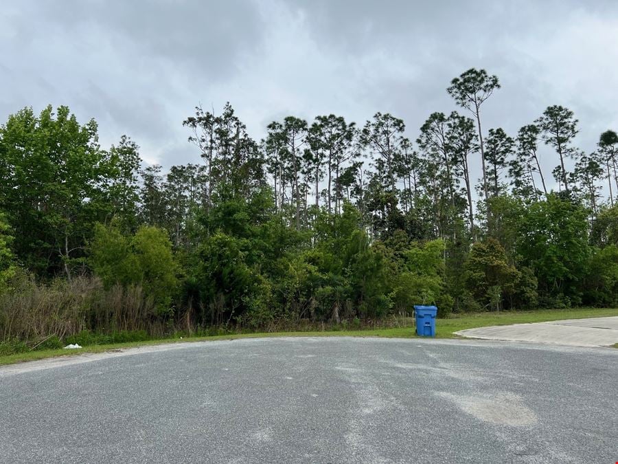 12.56 ± Acres of Residential Acreage in Bay County, FL