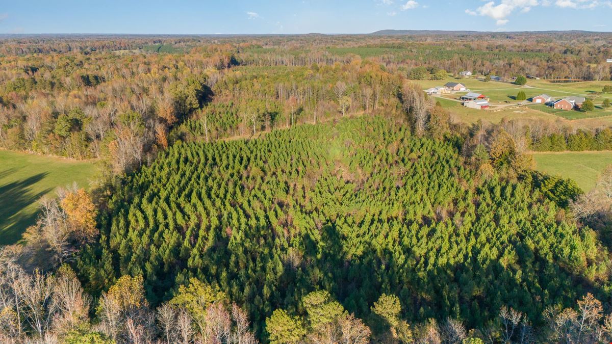 65 +/- Acres in Liberty, NC