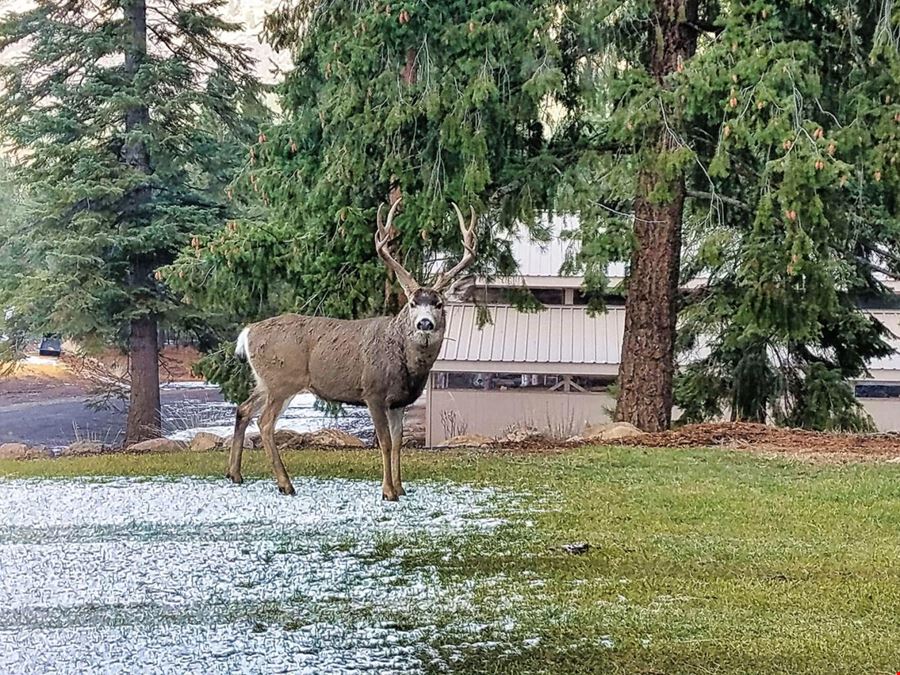 Successful VRBO in Klamath Falls, Oregon