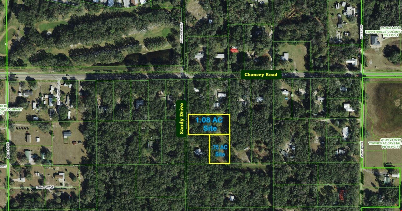 Pasco County :: Opportunity Zone :: Zoned AR & R-1