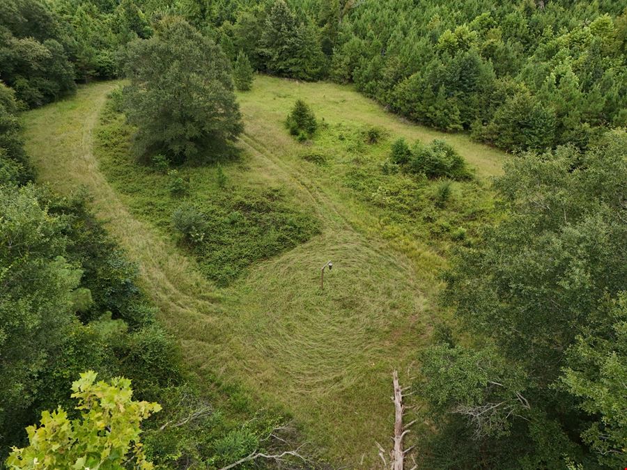 Craig Hill Hunting & Timber Tract