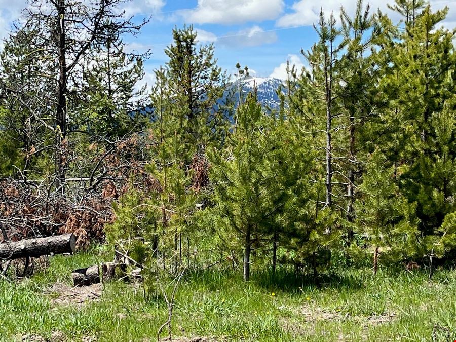 13480 & TBD Gunsmoke Rd