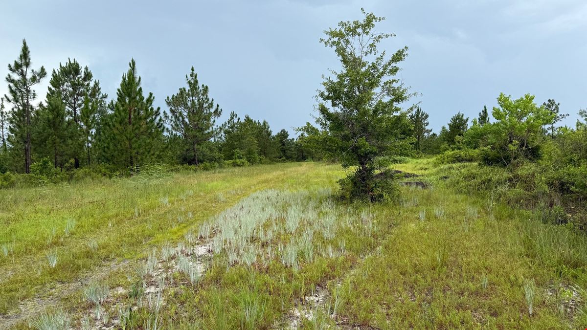 298 Acres in Fountain, FL | High-Fenced Hunting Ranch with Pond & Investment Potential
