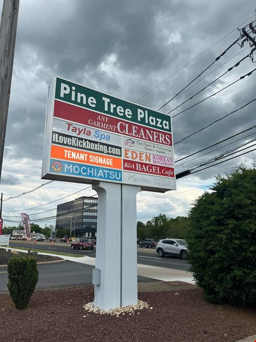 Pine Tree Plaza