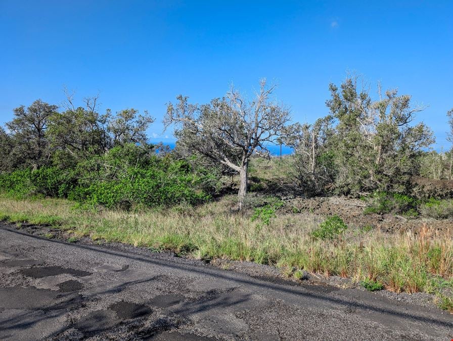 Lehua Court