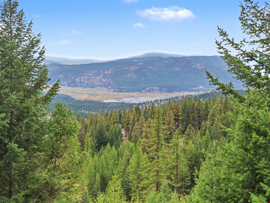 320 Private Wooded Acres West of Kalispell, Montana
