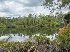 Land for Sale - Bushy Park Rd