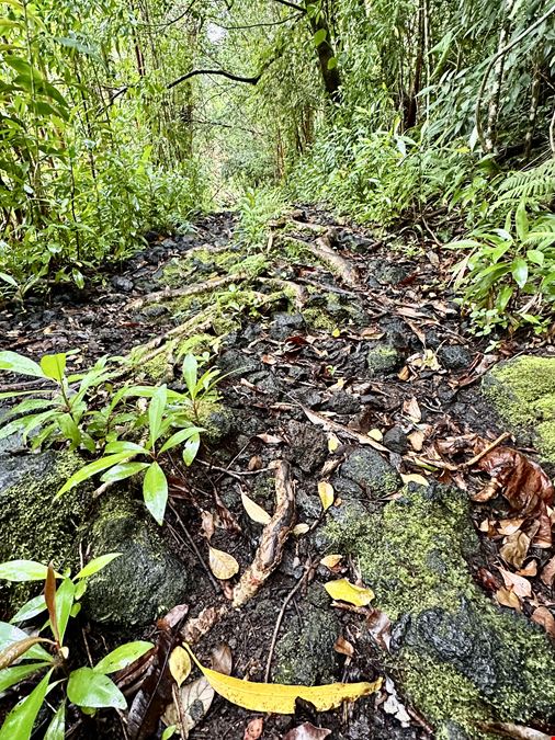 Hana Highway, Hana, HI 96713