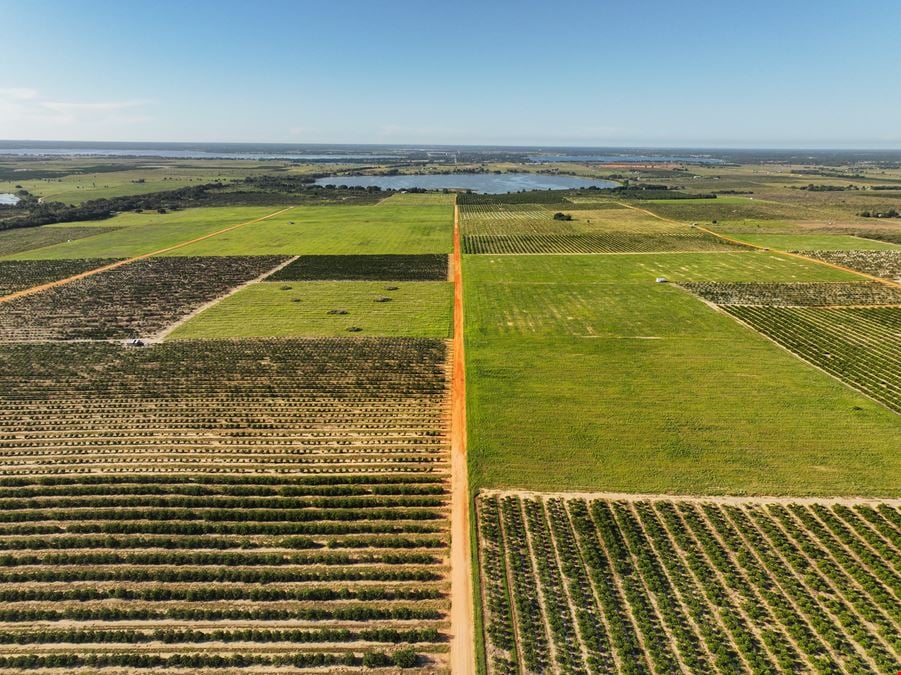 Auction - 584 Acres in Polk County