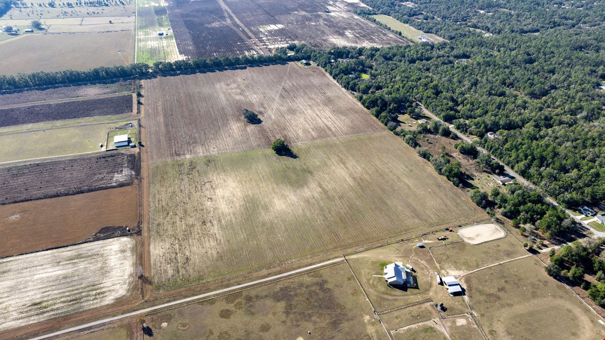 Marion County 24 Acre Ranchette and Homesite