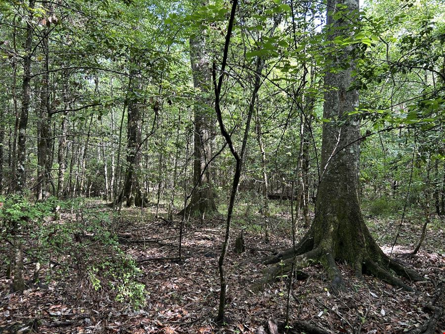 Fox Pen Tract
