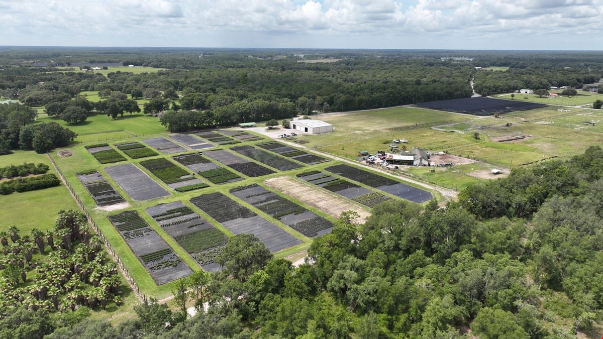 Volusia County Landscape Nursery