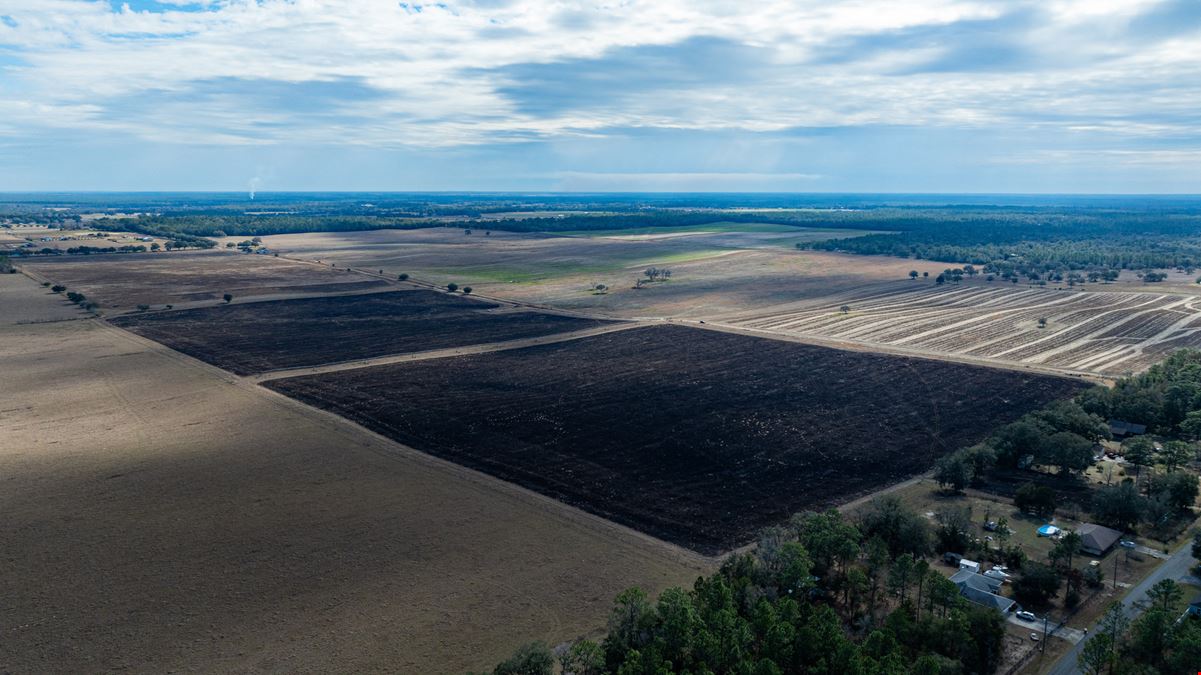 600 Acre Marion County Farm