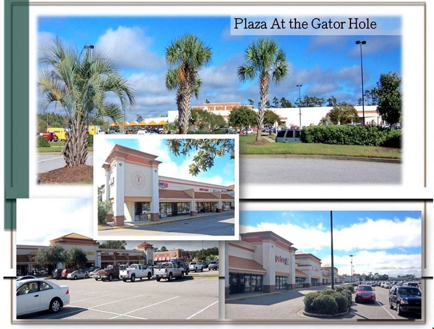Gator Hole Plaza