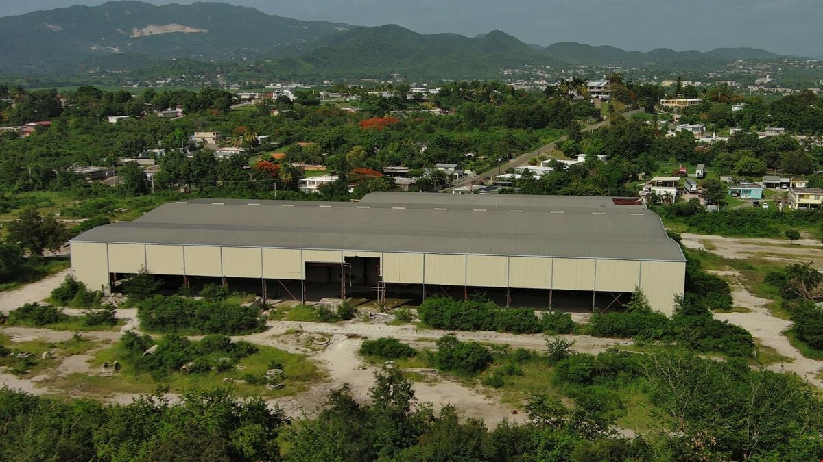 Industrial Property at Juana Diaz - FOR SALE