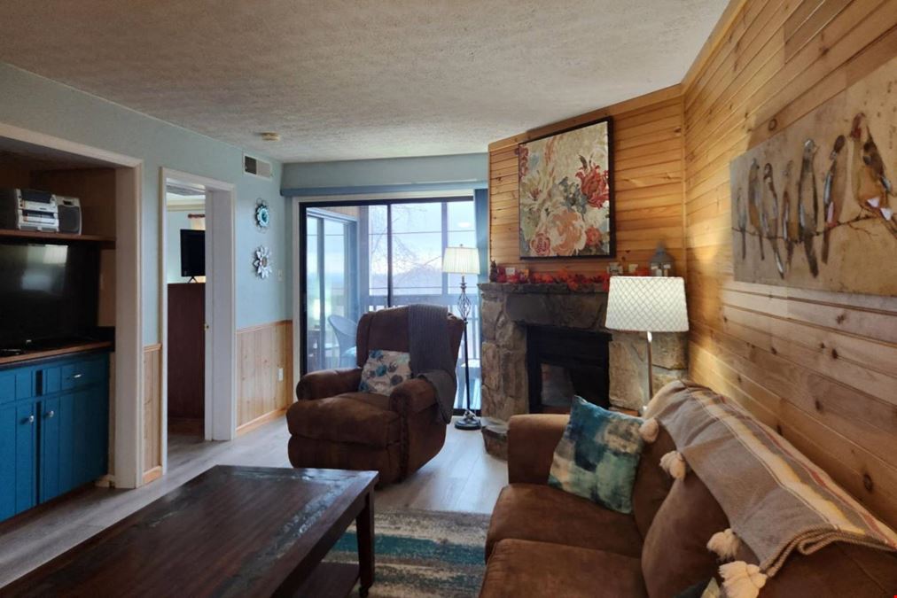 1102 Ski View Dr Unit 208