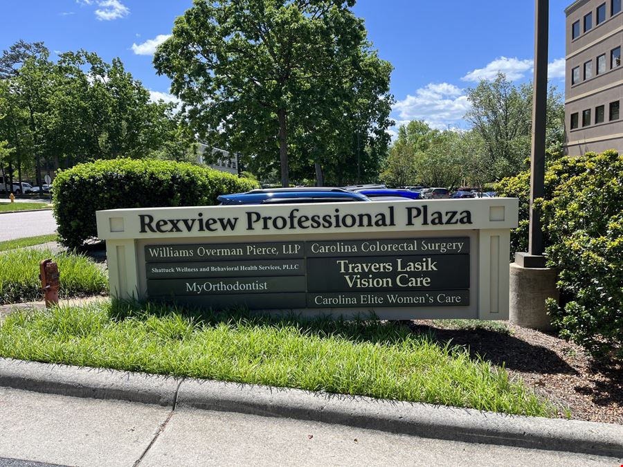 Rexview Professional Plaza