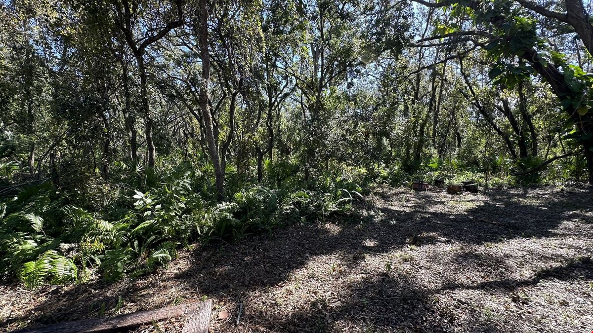 Executive Homesite - 4.19 Acres, Florida