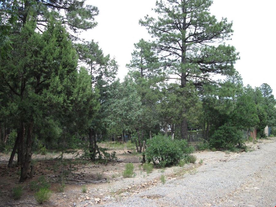 38 Mockingbird Dr