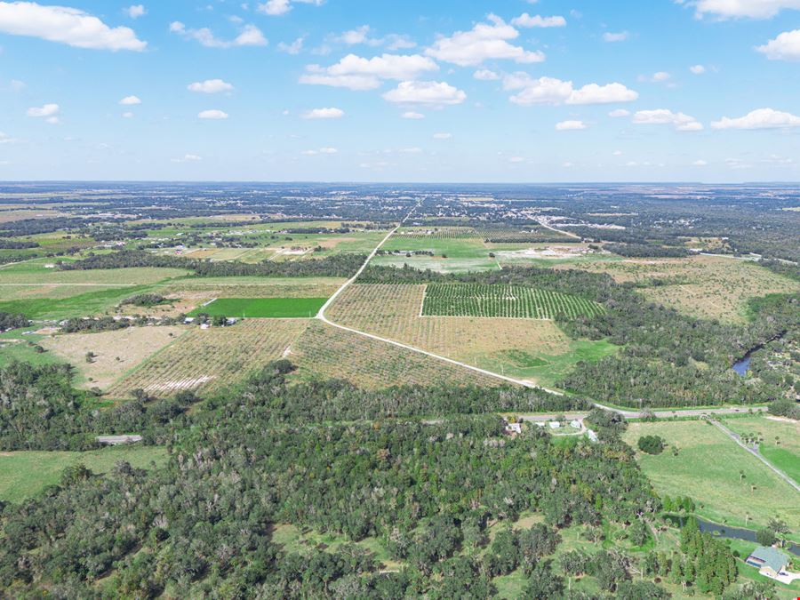 Peace River Mixed-Use Development Tract — 114± Acres | 18± AC Commercial | 2,179' on SR-64